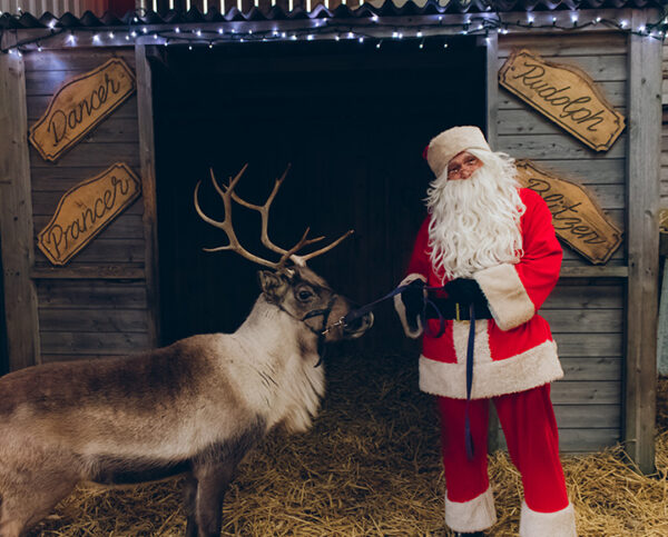 Farmer Ted's Christmas Special 6/12 - Image 7